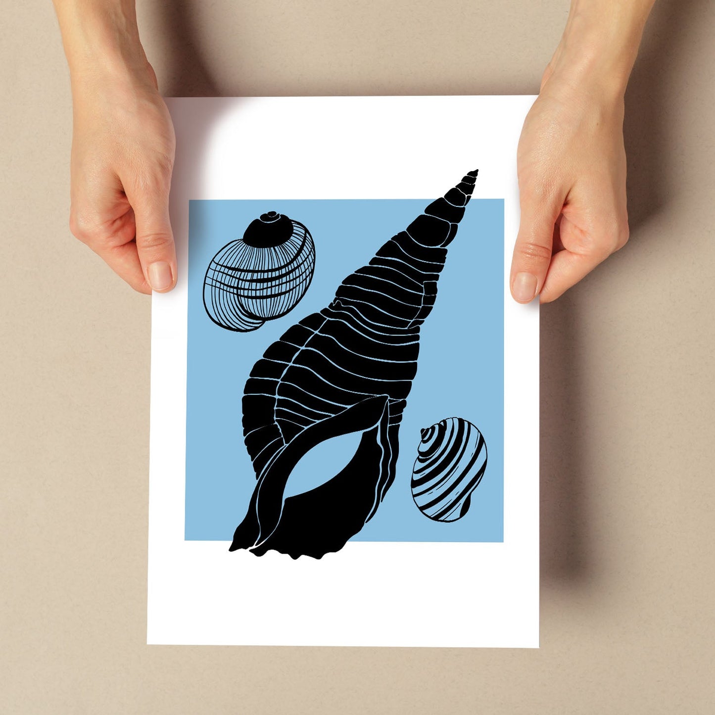 Shell collection-Artwork-Nacnic-Nacnic Estudio SL