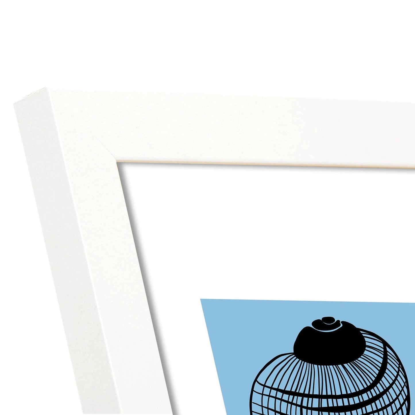 Shell collection-Artwork-Nacnic-Nacnic Estudio SL