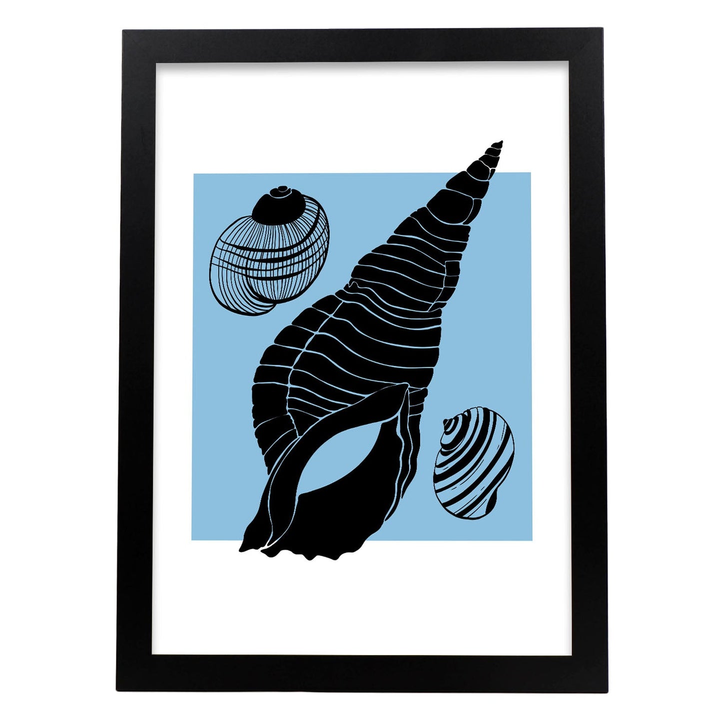 Shell collection-Artwork-Nacnic-A3-Sin marco-Nacnic Estudio SL