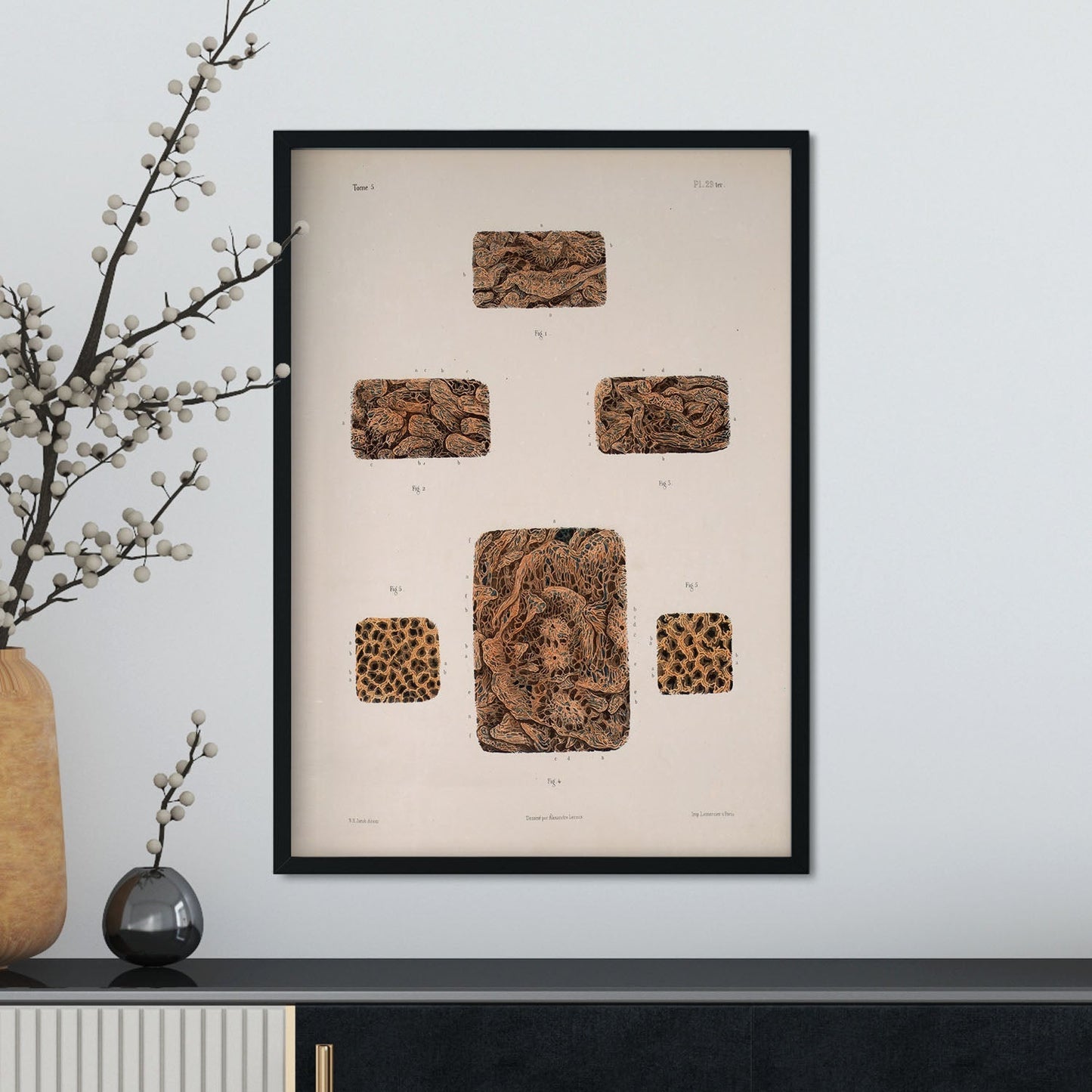 Small intestine-Artwork-Nacnic-Nacnic Estudio SL