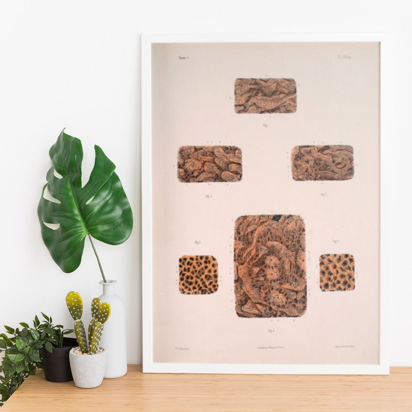 Small intestine-Artwork-Nacnic-Nacnic Estudio SL