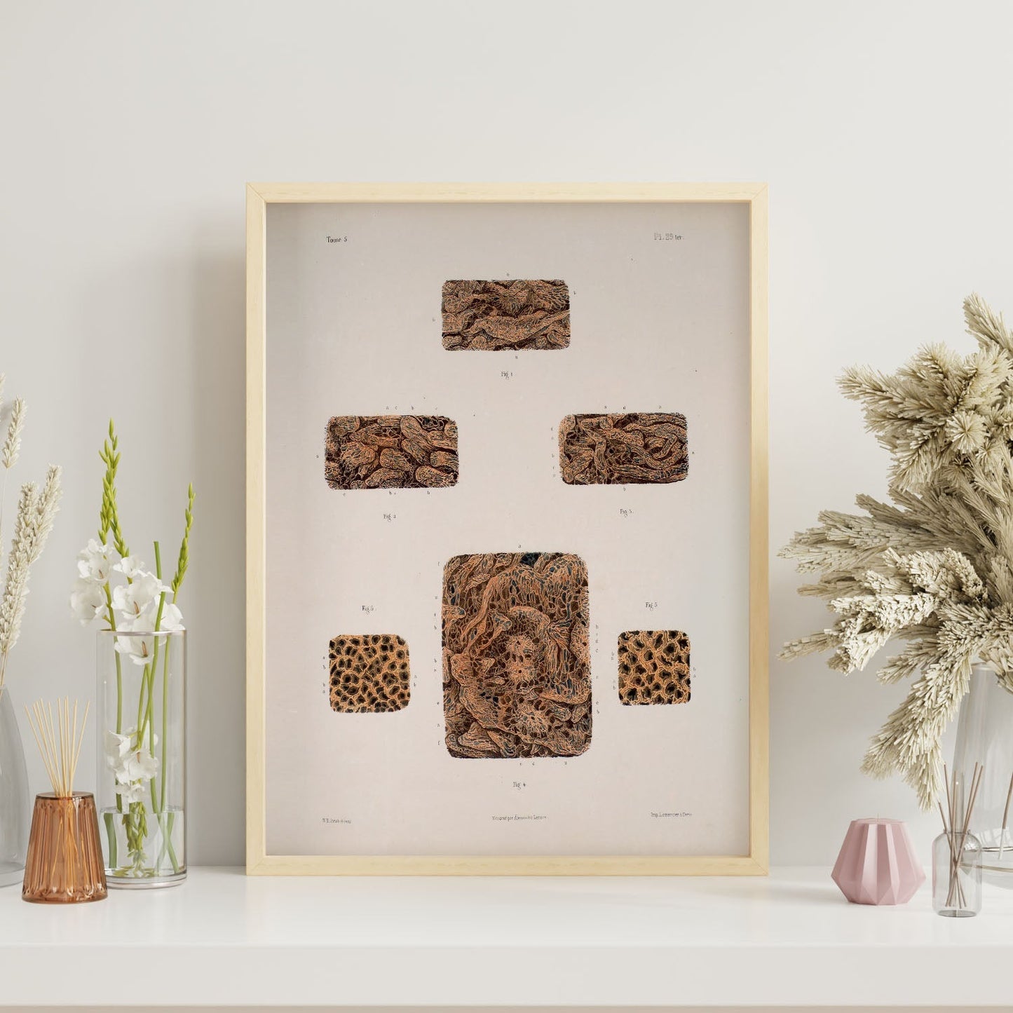 Small intestine-Artwork-Nacnic-Nacnic Estudio SL
