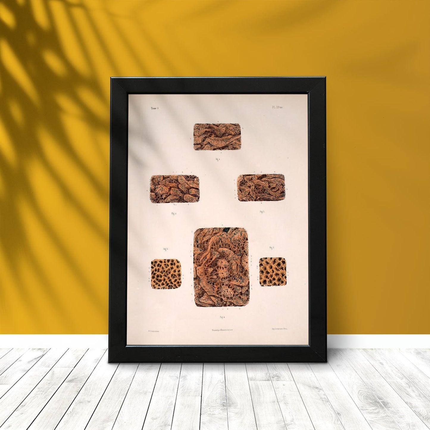 Small intestine-Artwork-Nacnic-Nacnic Estudio SL