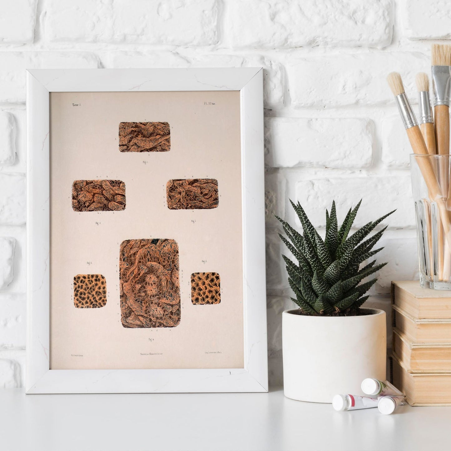 Small intestine-Artwork-Nacnic-Nacnic Estudio SL