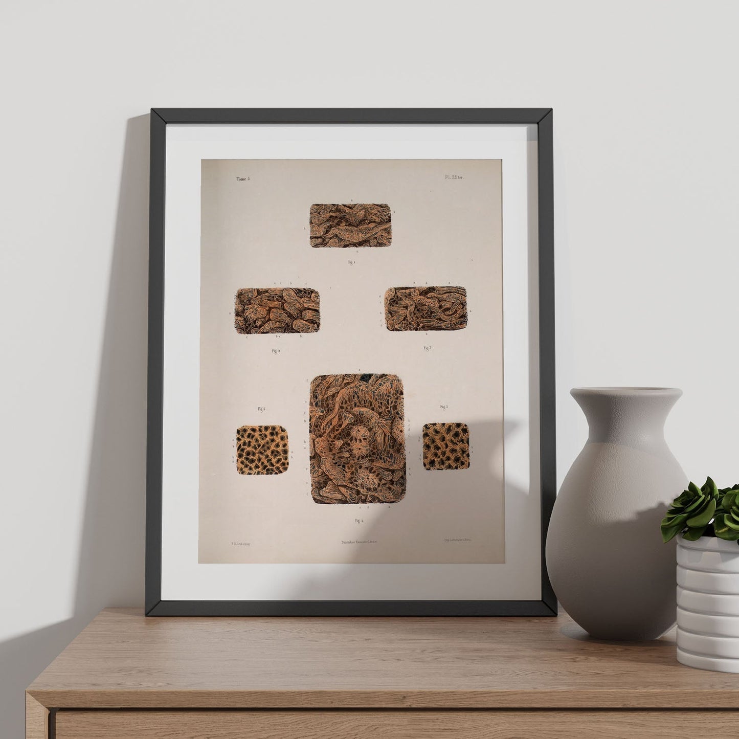 Small intestine-Artwork-Nacnic-Nacnic Estudio SL