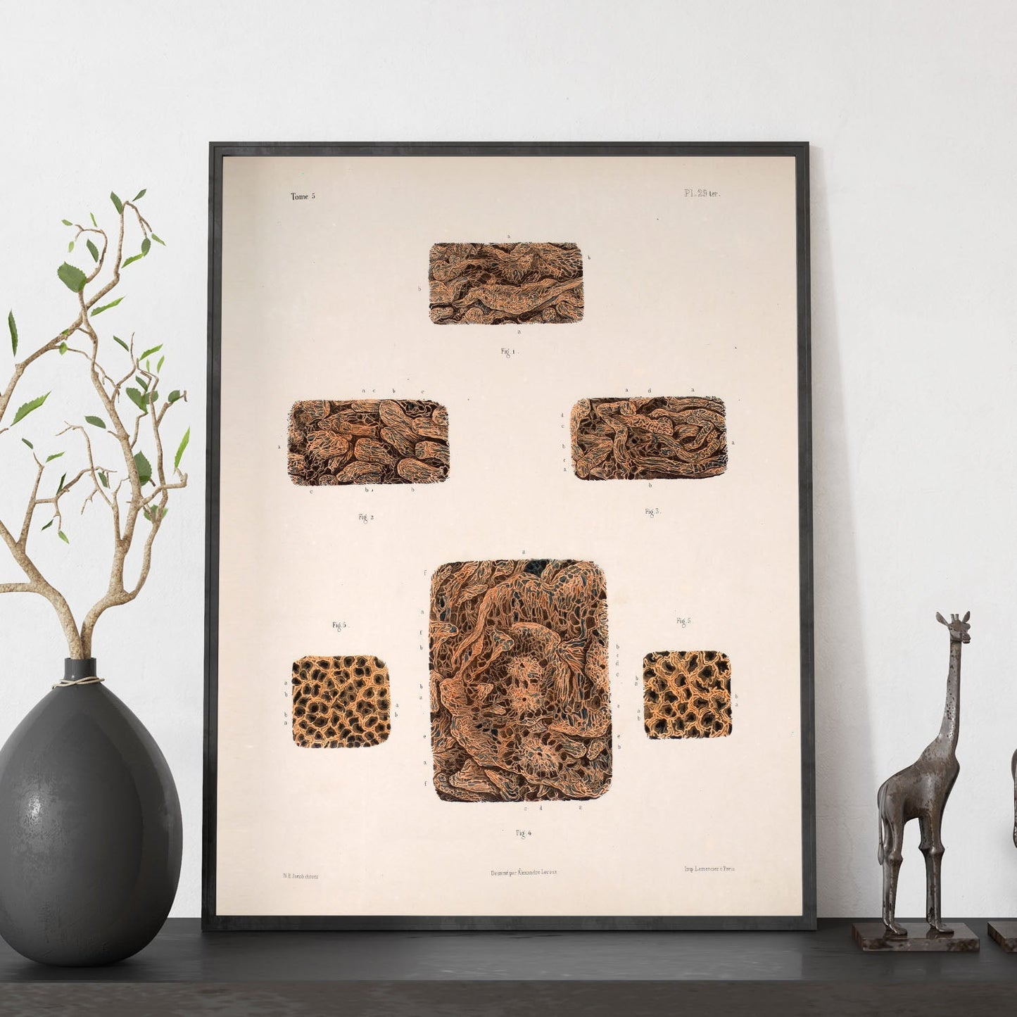 Small intestine-Artwork-Nacnic-Nacnic Estudio SL