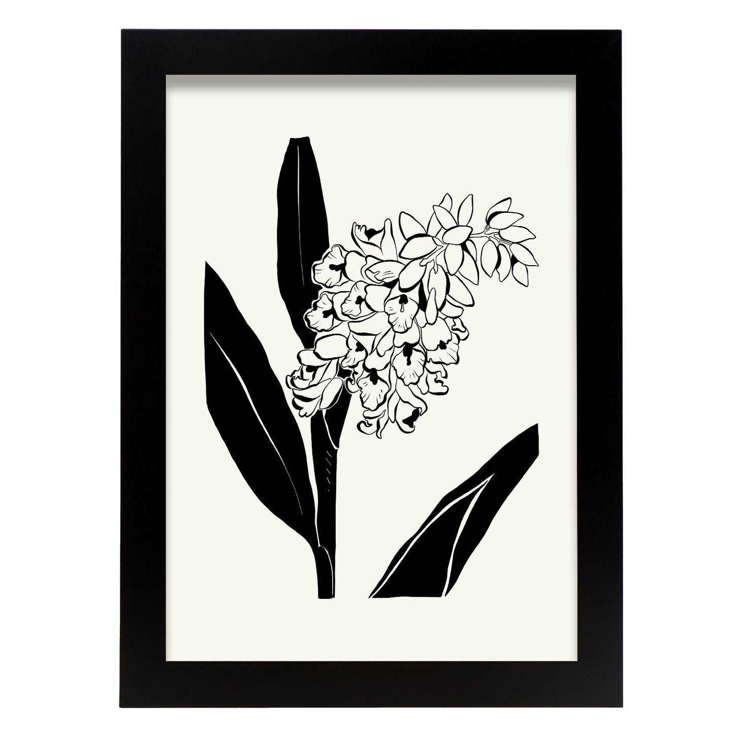 Snapdragon-Artwork-Nacnic-A4-Sin marco-Nacnic Estudio SL
