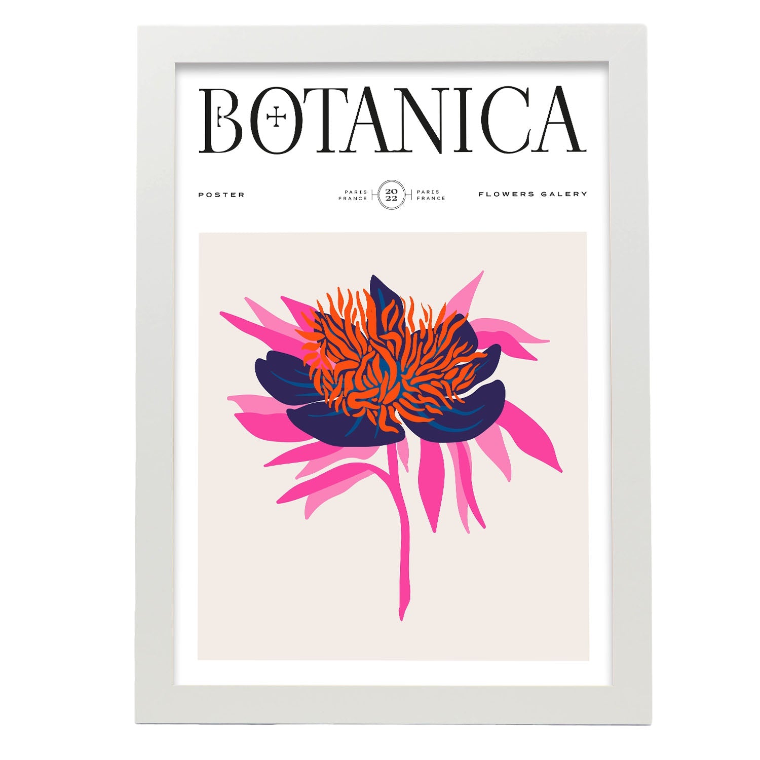 Spider mum spray-Artwork-Nacnic-A3-Marco Blanco-Nacnic Estudio SL