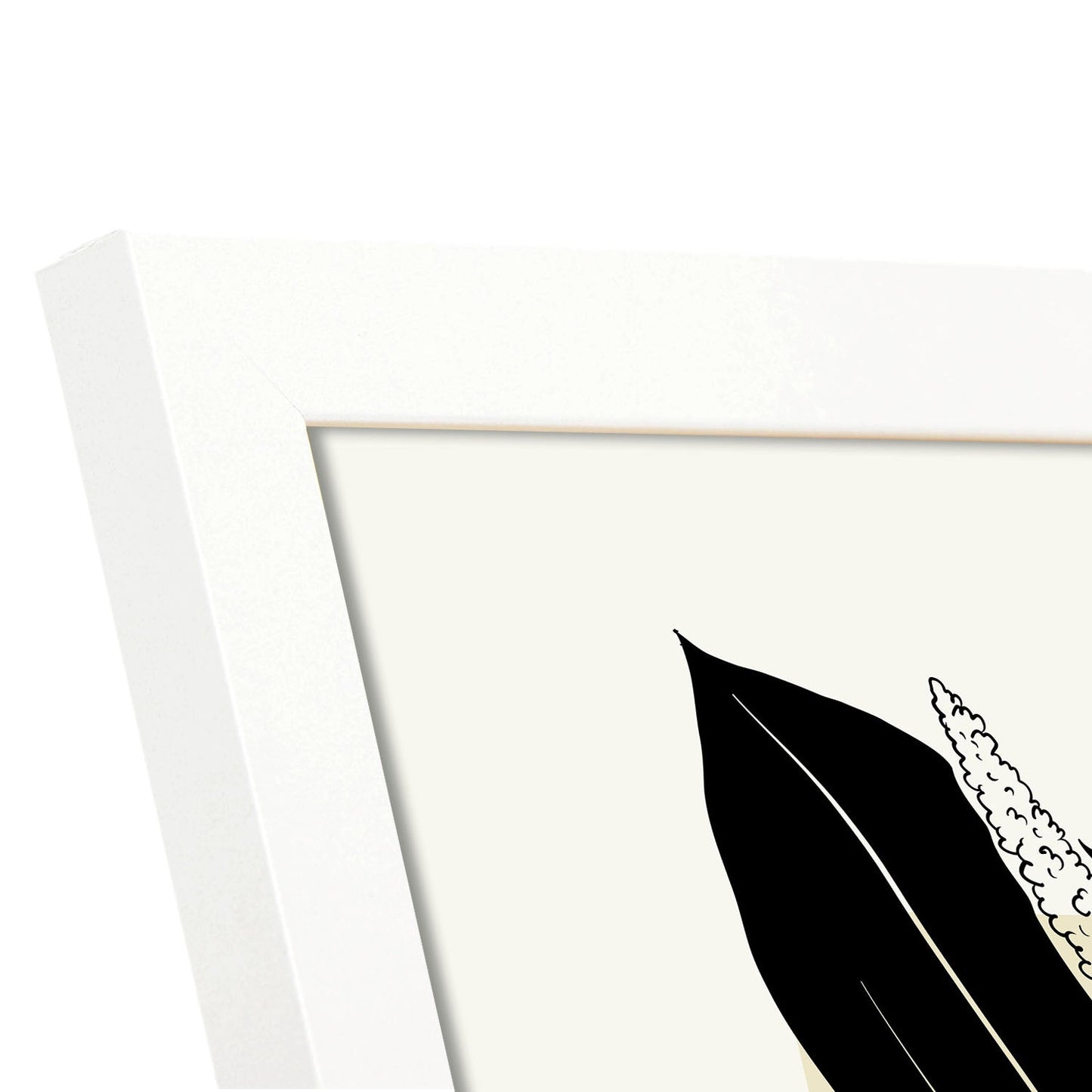 Staghorn Fern-Artwork-Nacnic-Nacnic Estudio SL
