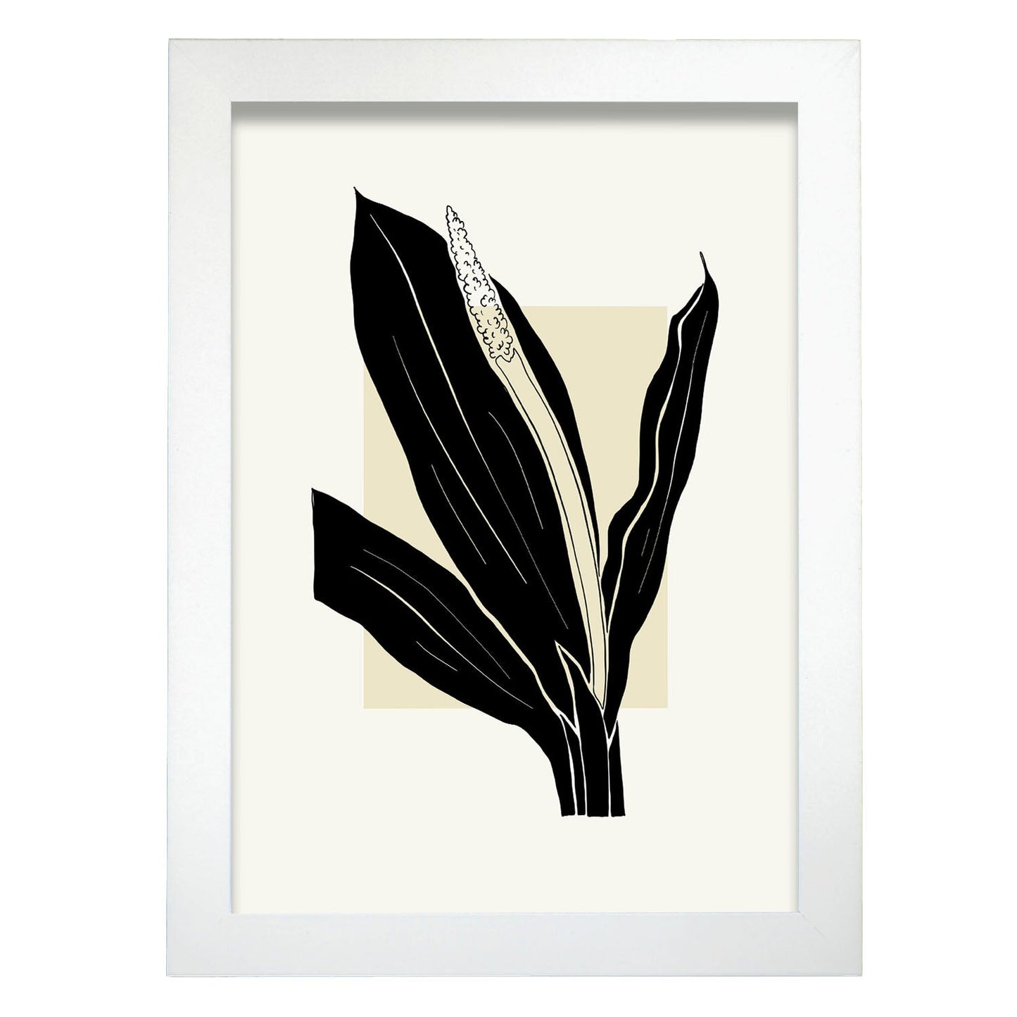 Staghorn Fern-Artwork-Nacnic-A4-Marco Blanco-Nacnic Estudio SL