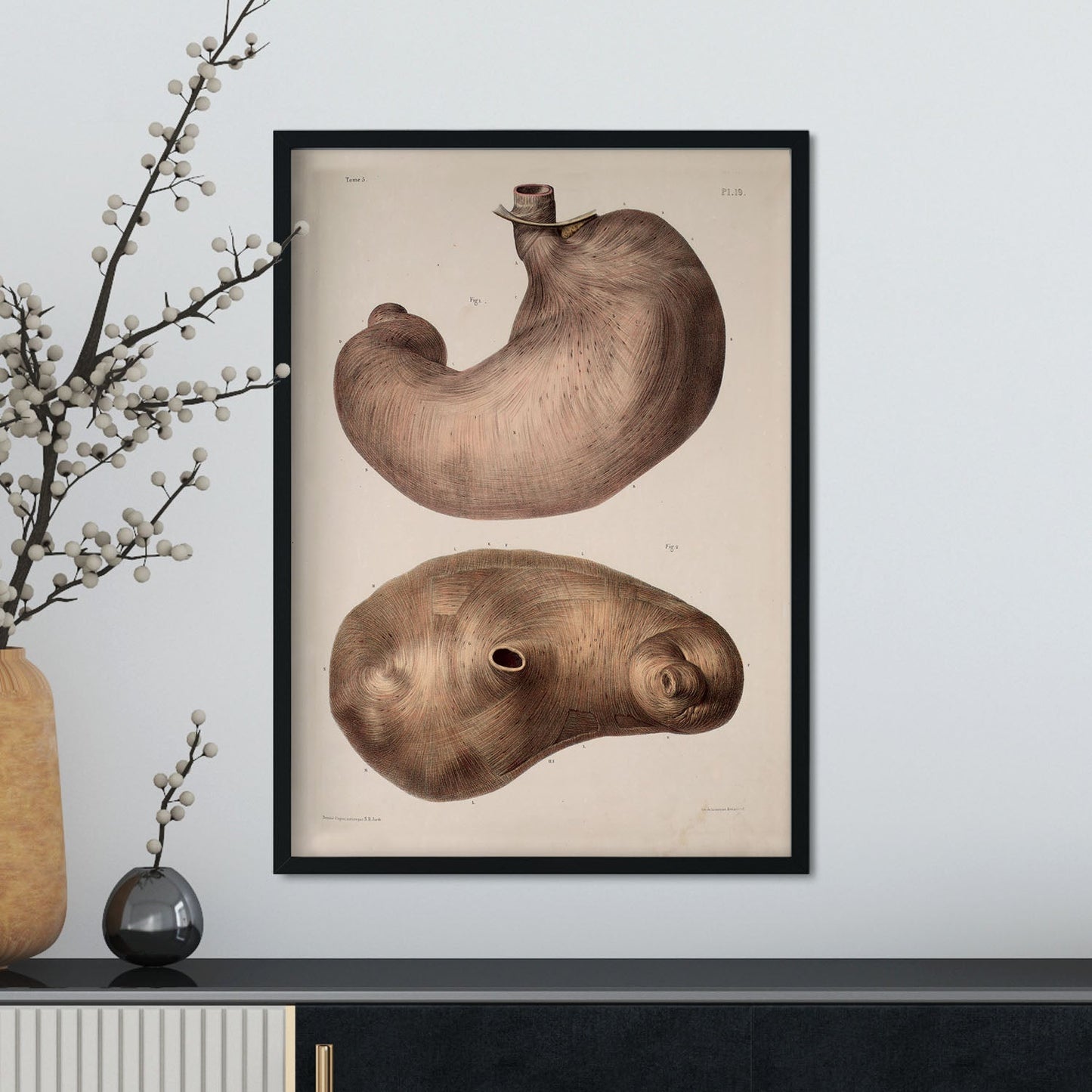 Stomach-Artwork-Nacnic-Nacnic Estudio SL