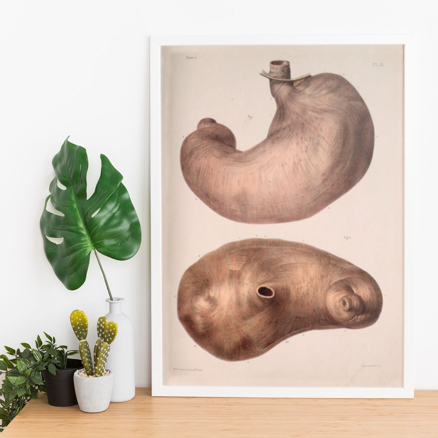Stomach-Artwork-Nacnic-Nacnic Estudio SL