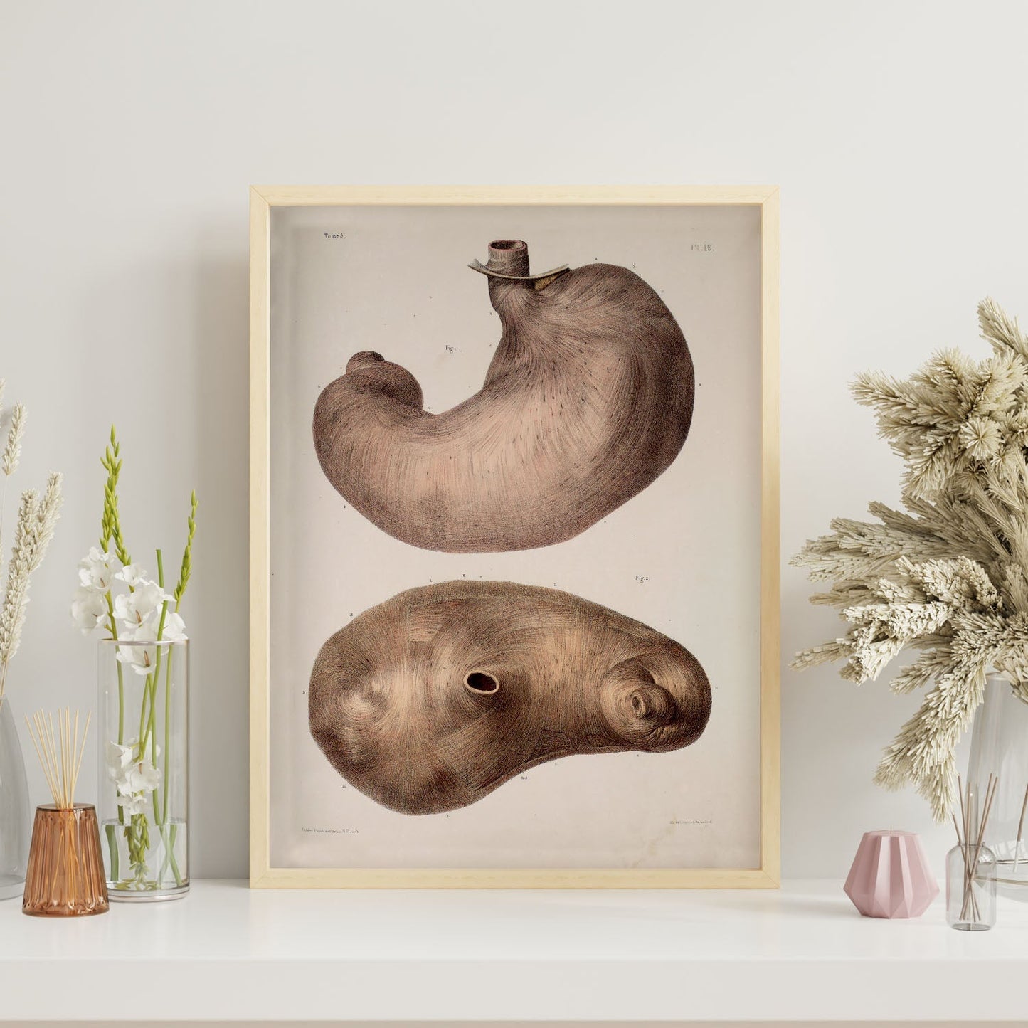 Stomach-Artwork-Nacnic-Nacnic Estudio SL