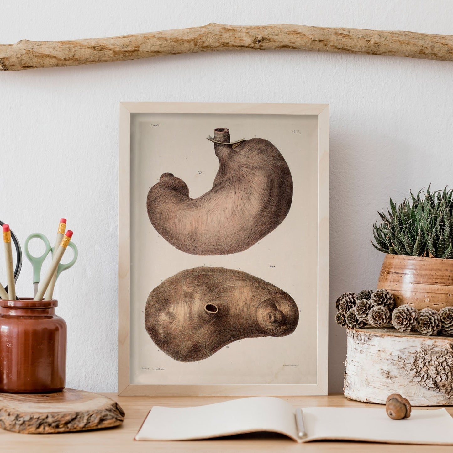 Stomach-Artwork-Nacnic-Nacnic Estudio SL