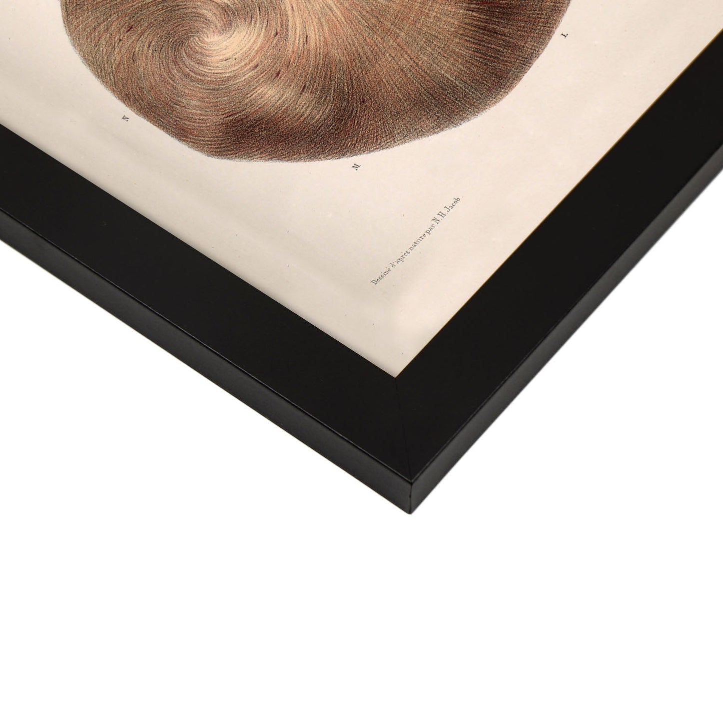 Stomach-Artwork-Nacnic-Nacnic Estudio SL