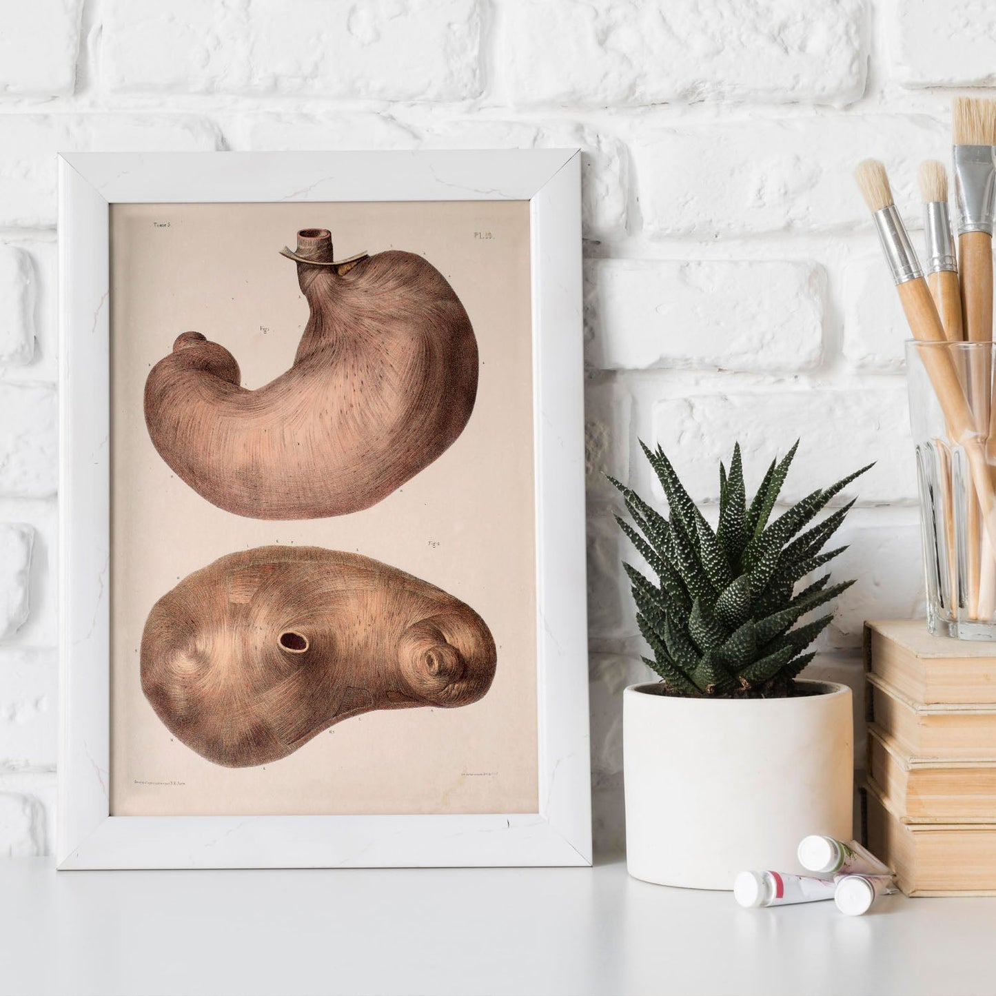 Stomach-Artwork-Nacnic-Nacnic Estudio SL