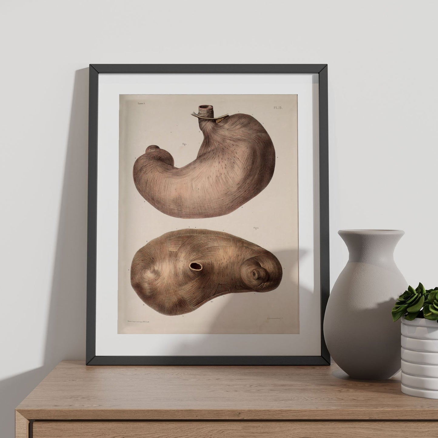 Stomach-Artwork-Nacnic-Nacnic Estudio SL