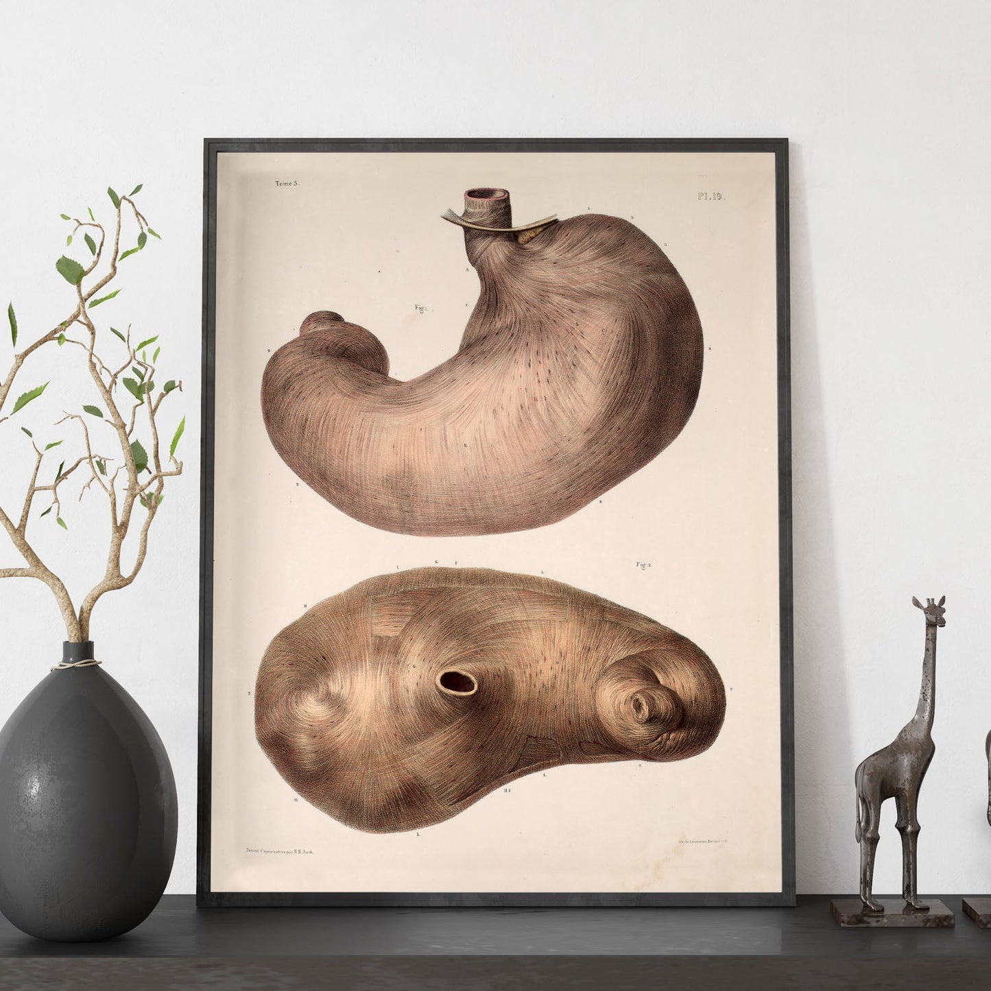 Stomach-Artwork-Nacnic-Nacnic Estudio SL