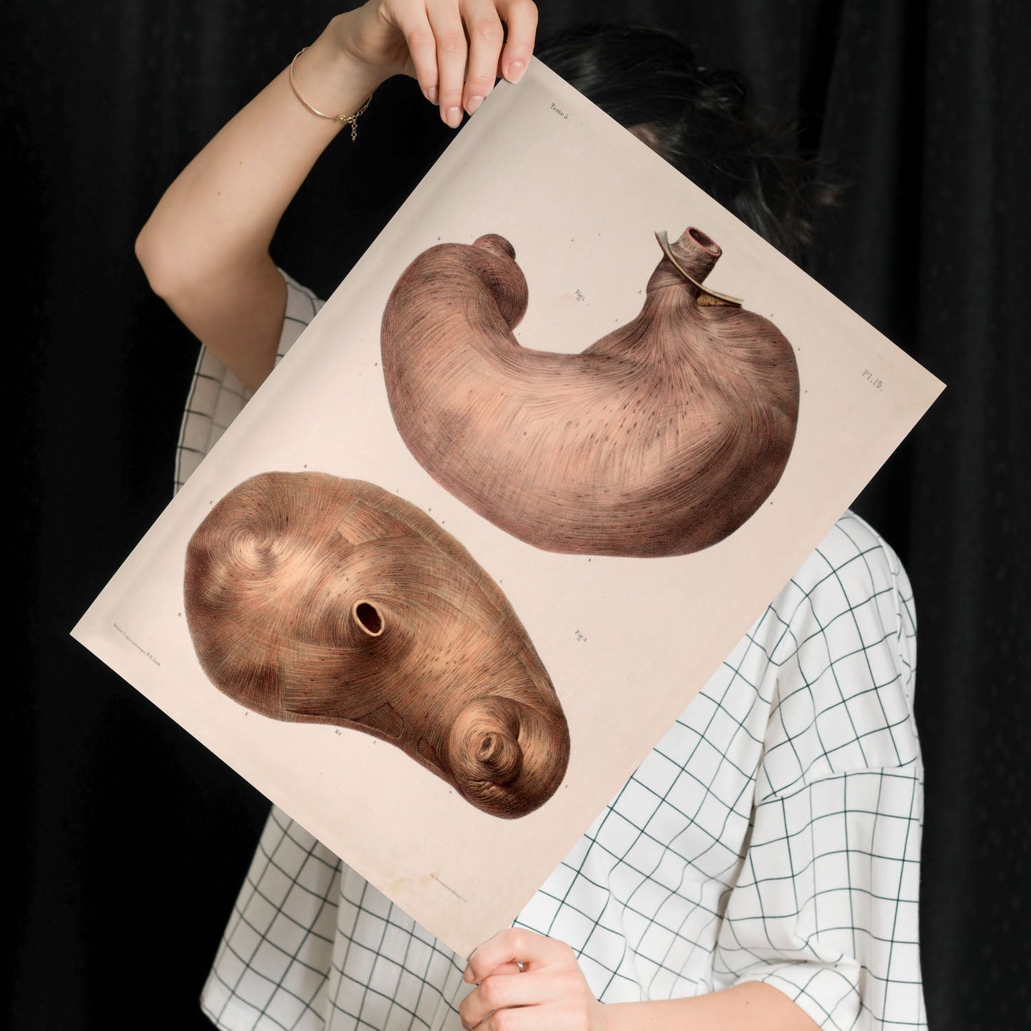 Stomach-Artwork-Nacnic-Nacnic Estudio SL