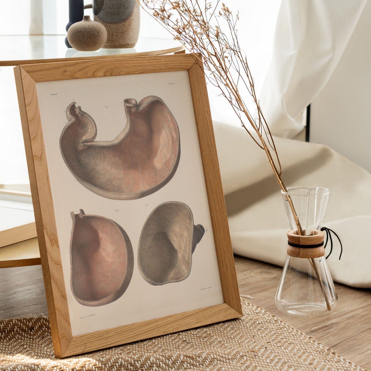 Stomach shown in cross-section-Artwork-Nacnic-Nacnic Estudio SL