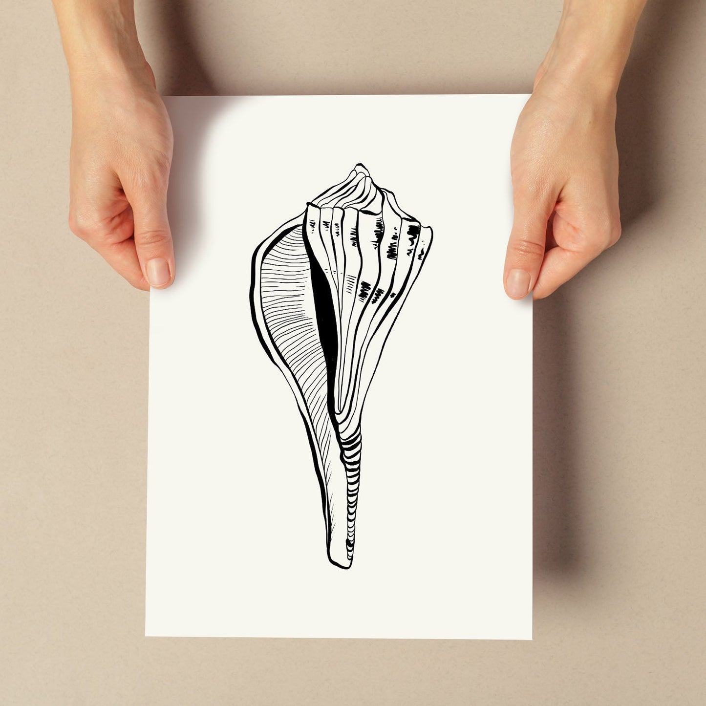 Stripped Fox conch-Artwork-Nacnic-Nacnic Estudio SL
