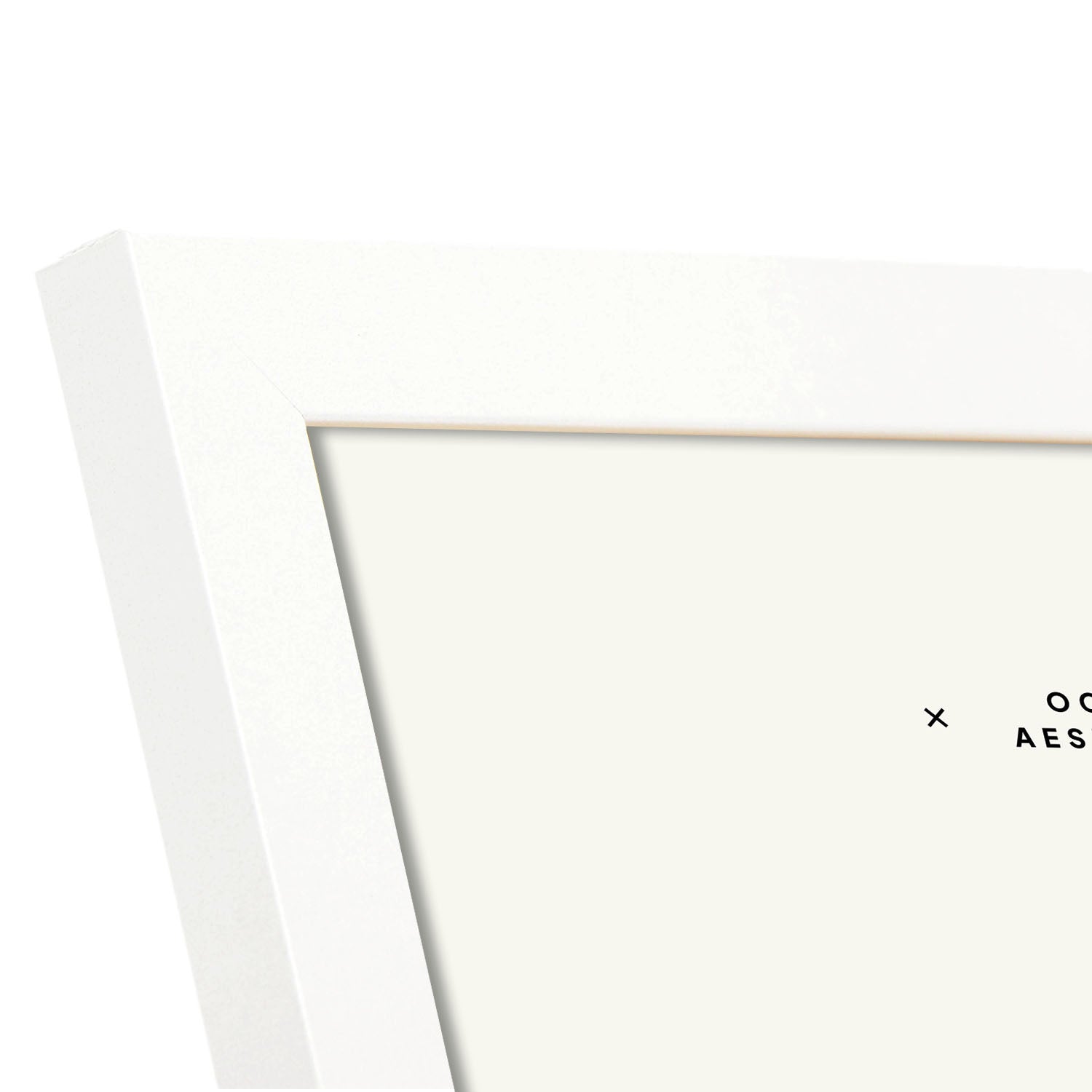 Stripped Octopus-Artwork-Nacnic-Nacnic Estudio SL