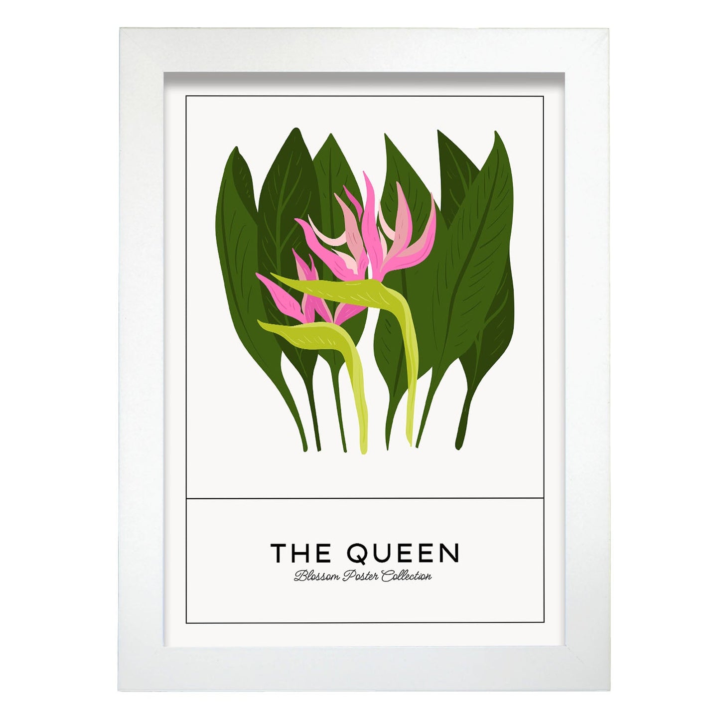 The Queen-Artwork-Nacnic-A4-Marco Blanco-Nacnic Estudio SL