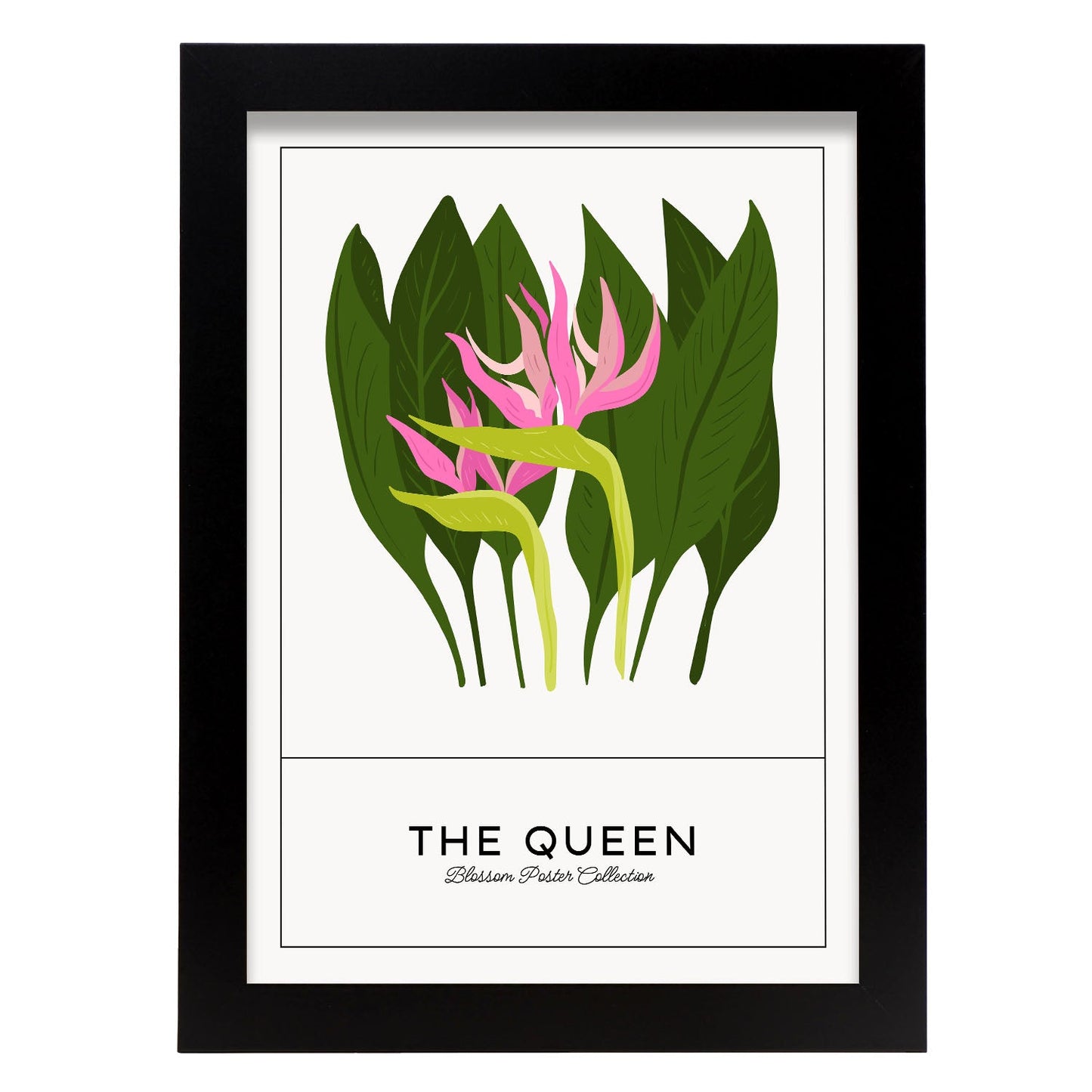 The Queen-Artwork-Nacnic-A4-Marco Negro-Nacnic Estudio SL