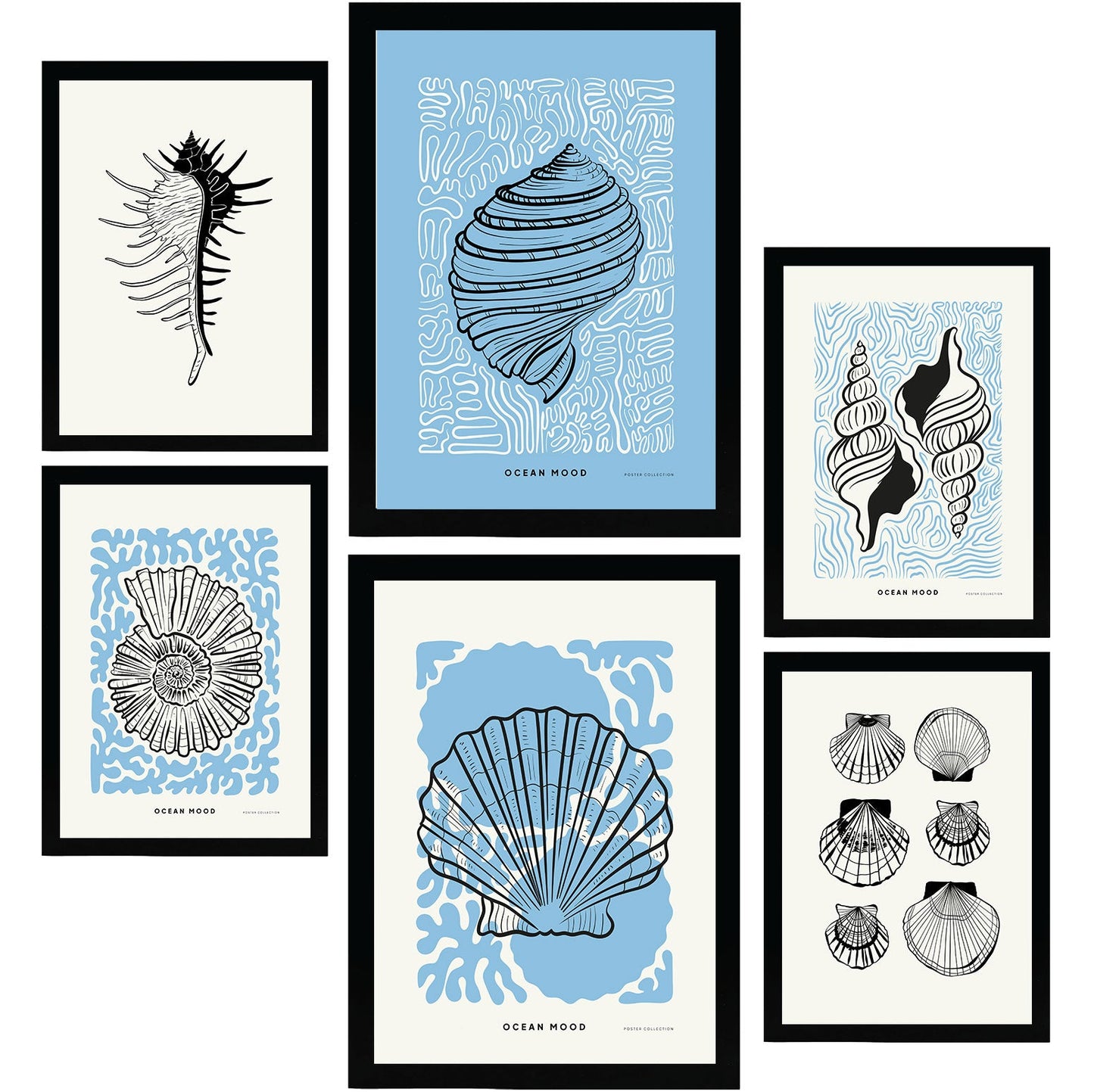 Thick Black Ink Posters. Round Shells. Artistic Marine Aesthetic-Artwork-Nacnic-Nacnic Estudio SL