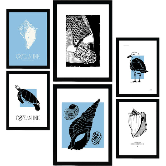 Thick Black Ink Posters. Seashells. Artistic Marine Aesthetic-Artwork-Nacnic-Nacnic Estudio SL
