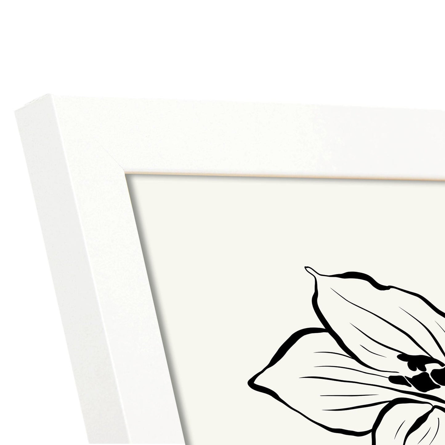 TIger Lily-Artwork-Nacnic-Nacnic Estudio SL