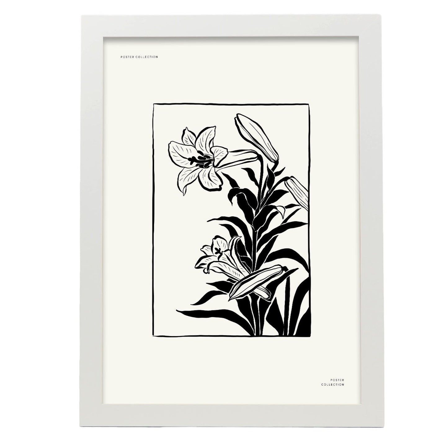 Tiger Lily-Artwork-Nacnic-A3-Marco Blanco-Nacnic Estudio SL