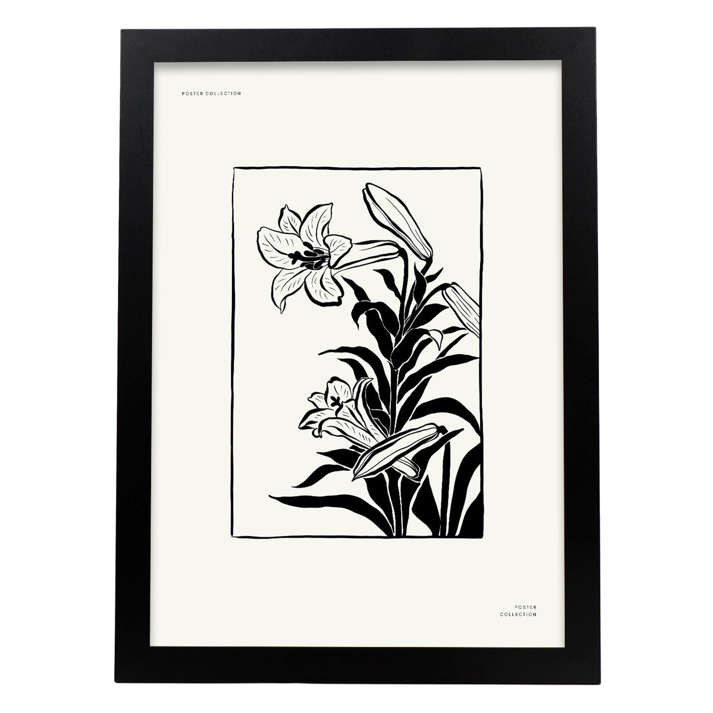Tiger Lily-Artwork-Nacnic-A3-Sin marco-Nacnic Estudio SL