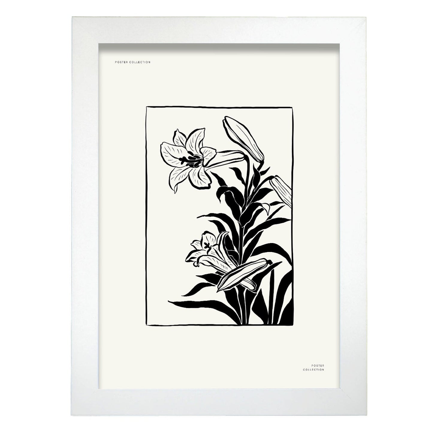 Tiger Lily-Artwork-Nacnic-A4-Marco Blanco-Nacnic Estudio SL