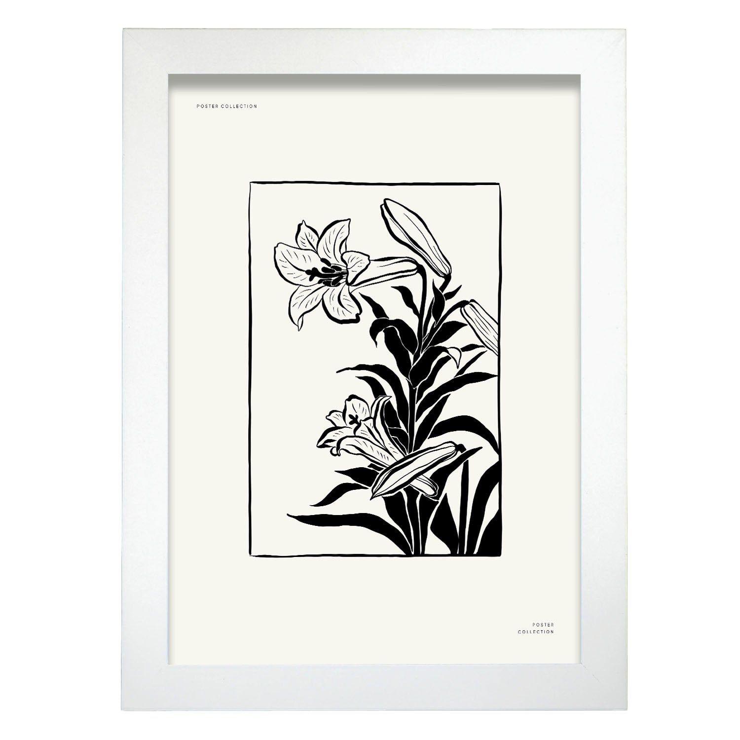 Tiger Lily-Artwork-Nacnic-A4-Marco Blanco-Nacnic Estudio SL