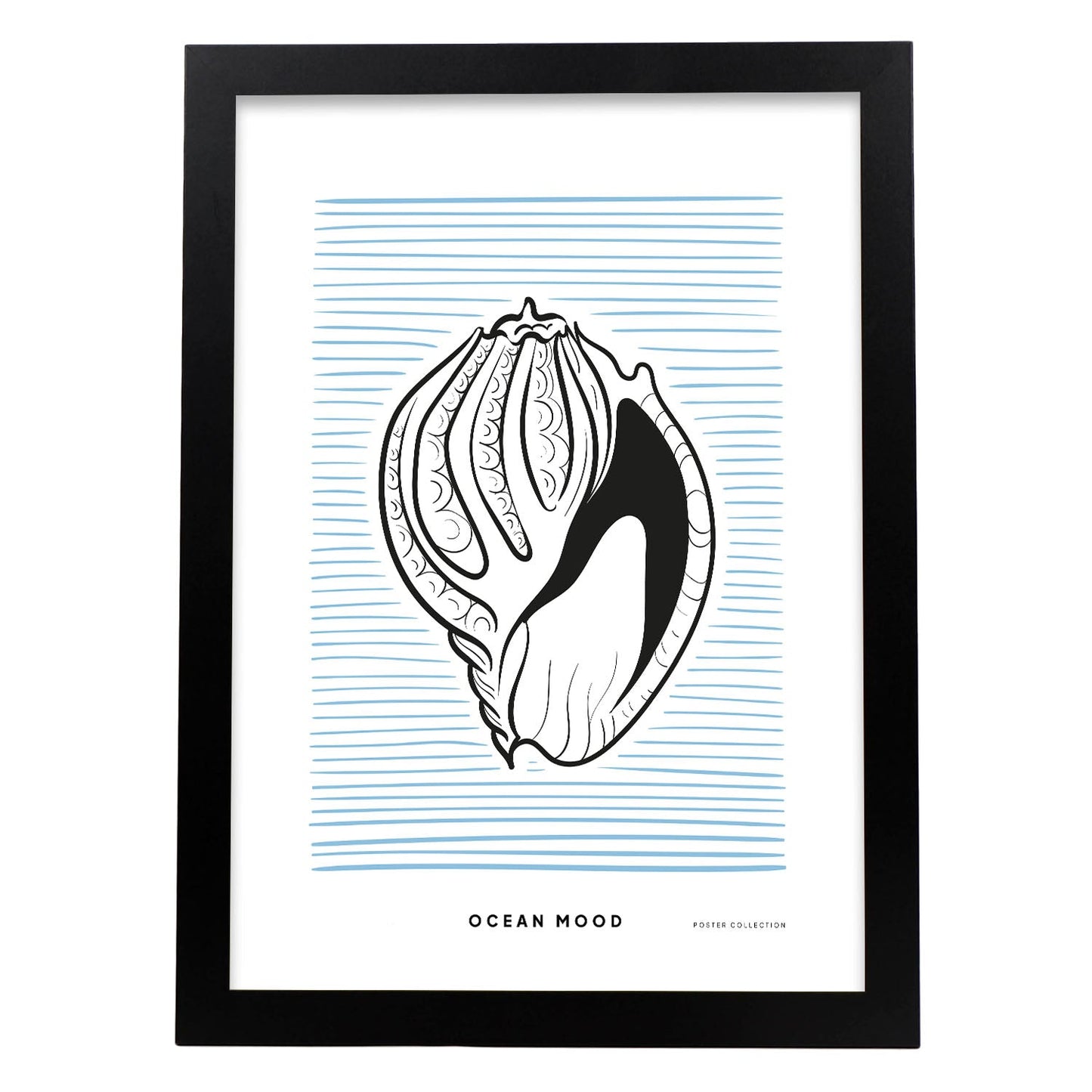 Tinted Cantharus shell-Artwork-Nacnic-A3-Sin marco-Nacnic Estudio SL