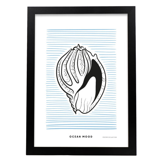 Tinted Cantharus shell-Artwork-Nacnic-A3-Sin marco-Nacnic Estudio SL