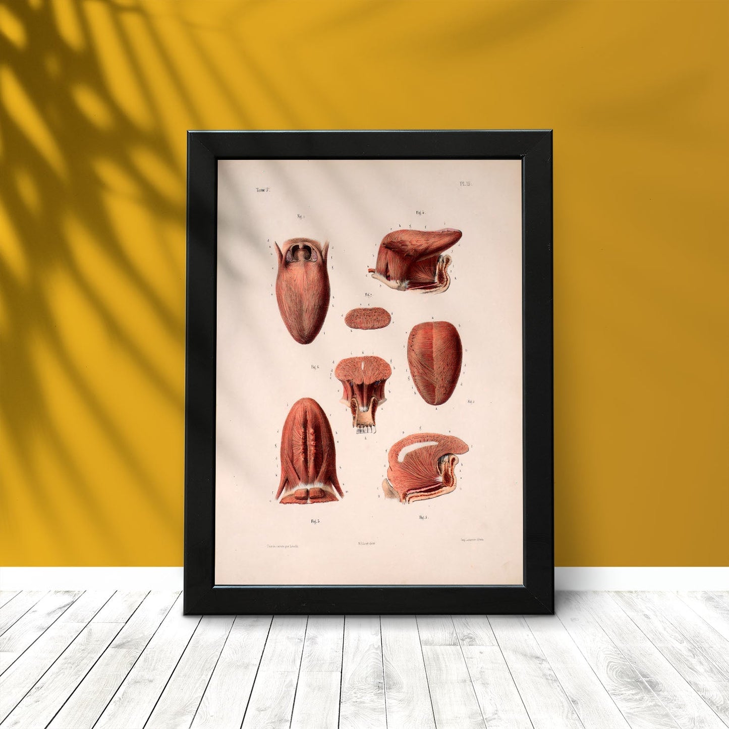 Tongue-Artwork-Nacnic-Nacnic Estudio SL