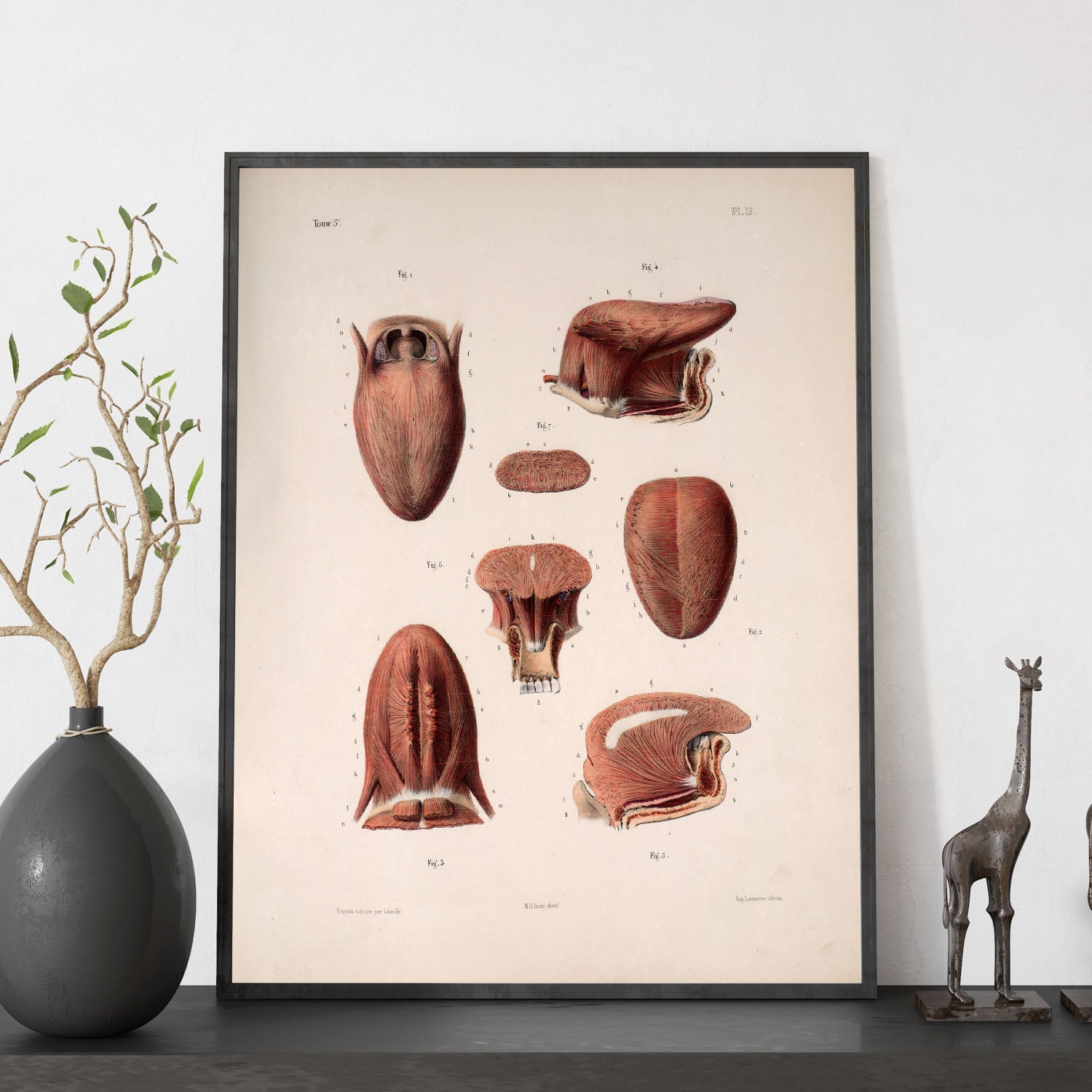 Tongue-Artwork-Nacnic-Nacnic Estudio SL