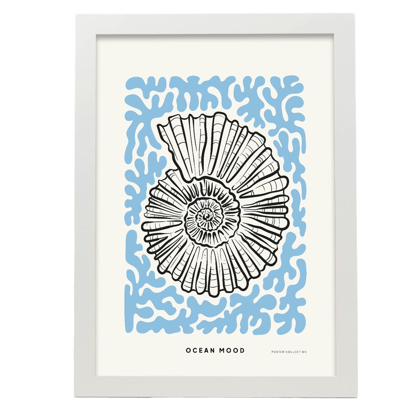 Topview Florida seashell-Artwork-Nacnic-A3-Marco Blanco-Nacnic Estudio SL