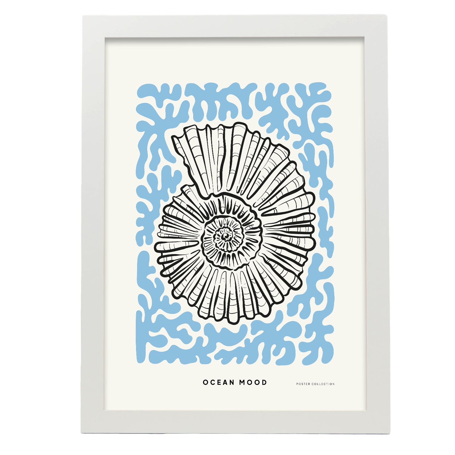 Topview Florida seashell-Artwork-Nacnic-A3-Marco Blanco-Nacnic Estudio SL