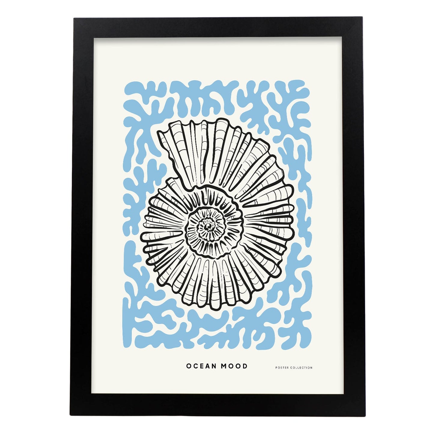 Topview Florida seashell-Artwork-Nacnic-A3-Sin marco-Nacnic Estudio SL