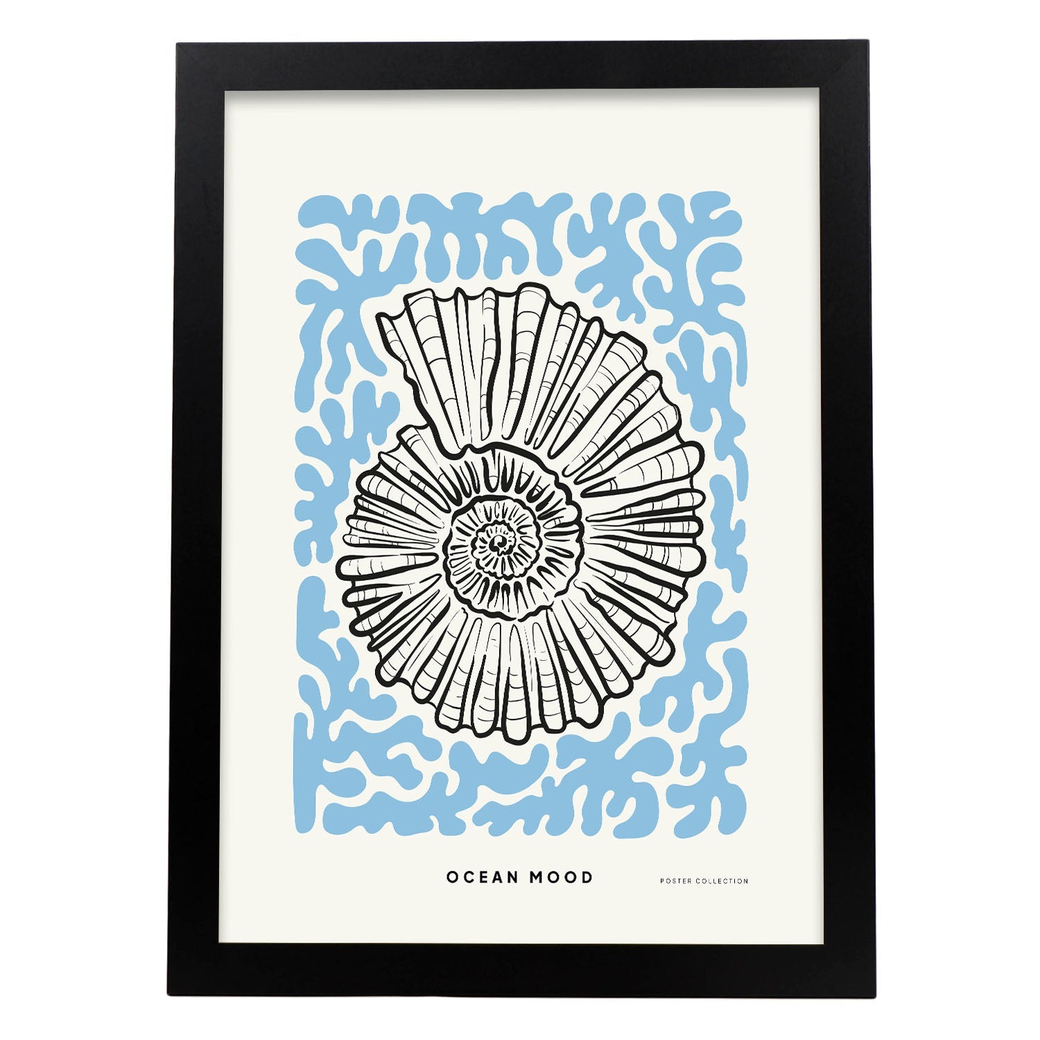 Topview Florida seashell-Artwork-Nacnic-A3-Sin marco-Nacnic Estudio SL