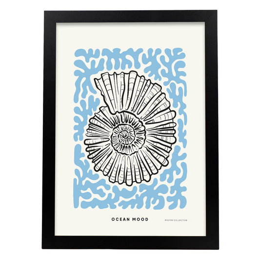Topview Florida seashell-Artwork-Nacnic-A3-Sin marco-Nacnic Estudio SL