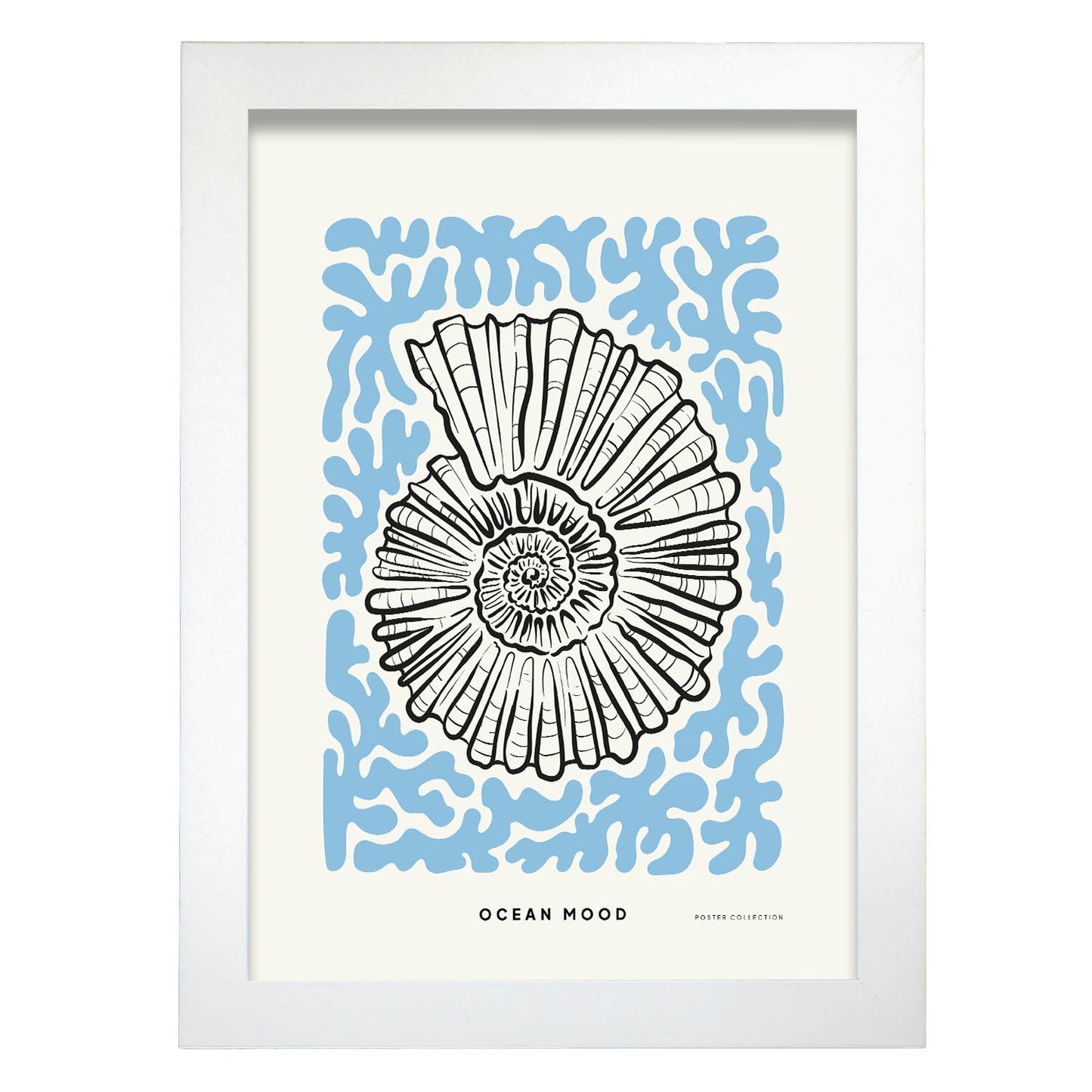 Topview Florida seashell-Artwork-Nacnic-A4-Marco Blanco-Nacnic Estudio SL