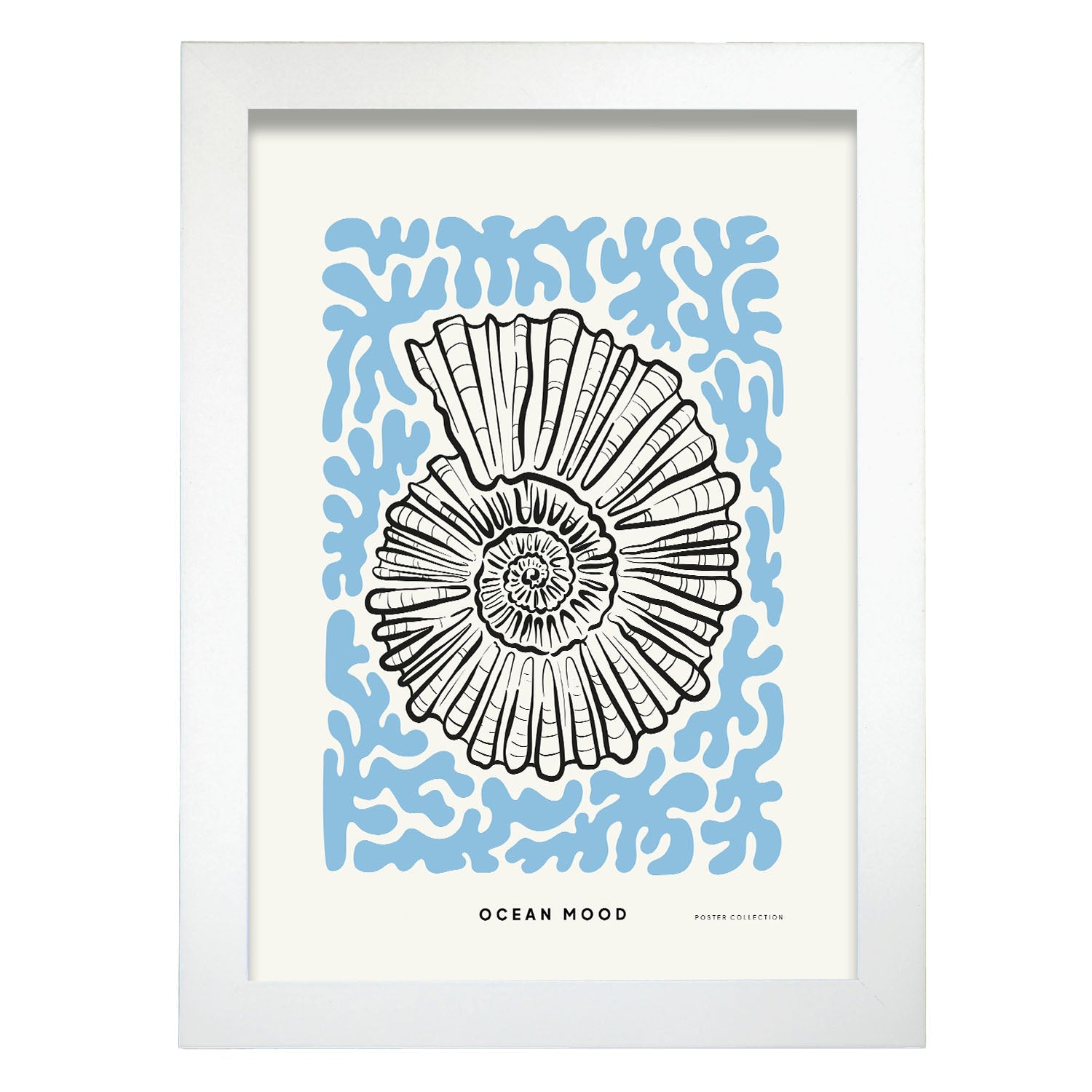 Topview Florida seashell-Artwork-Nacnic-A4-Marco Blanco-Nacnic Estudio SL