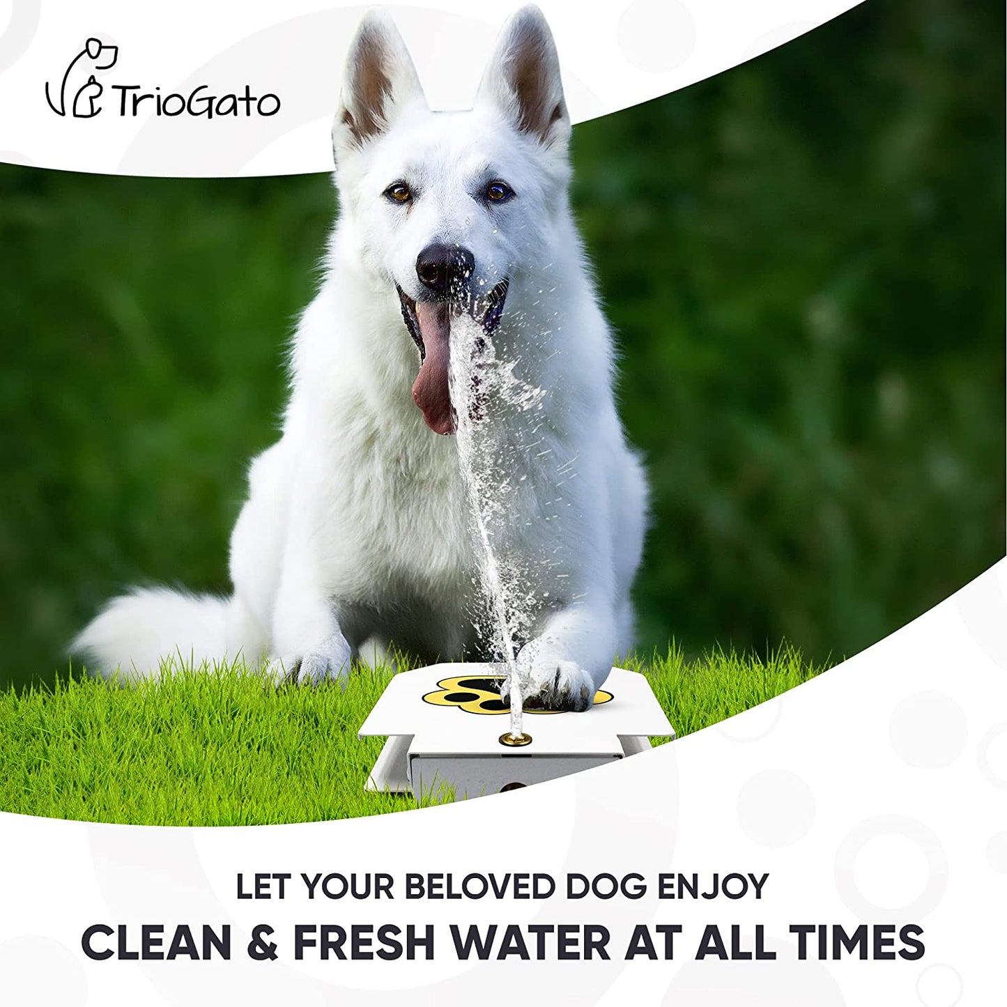 Trio Gato Fuente de Agua Potable para Perros