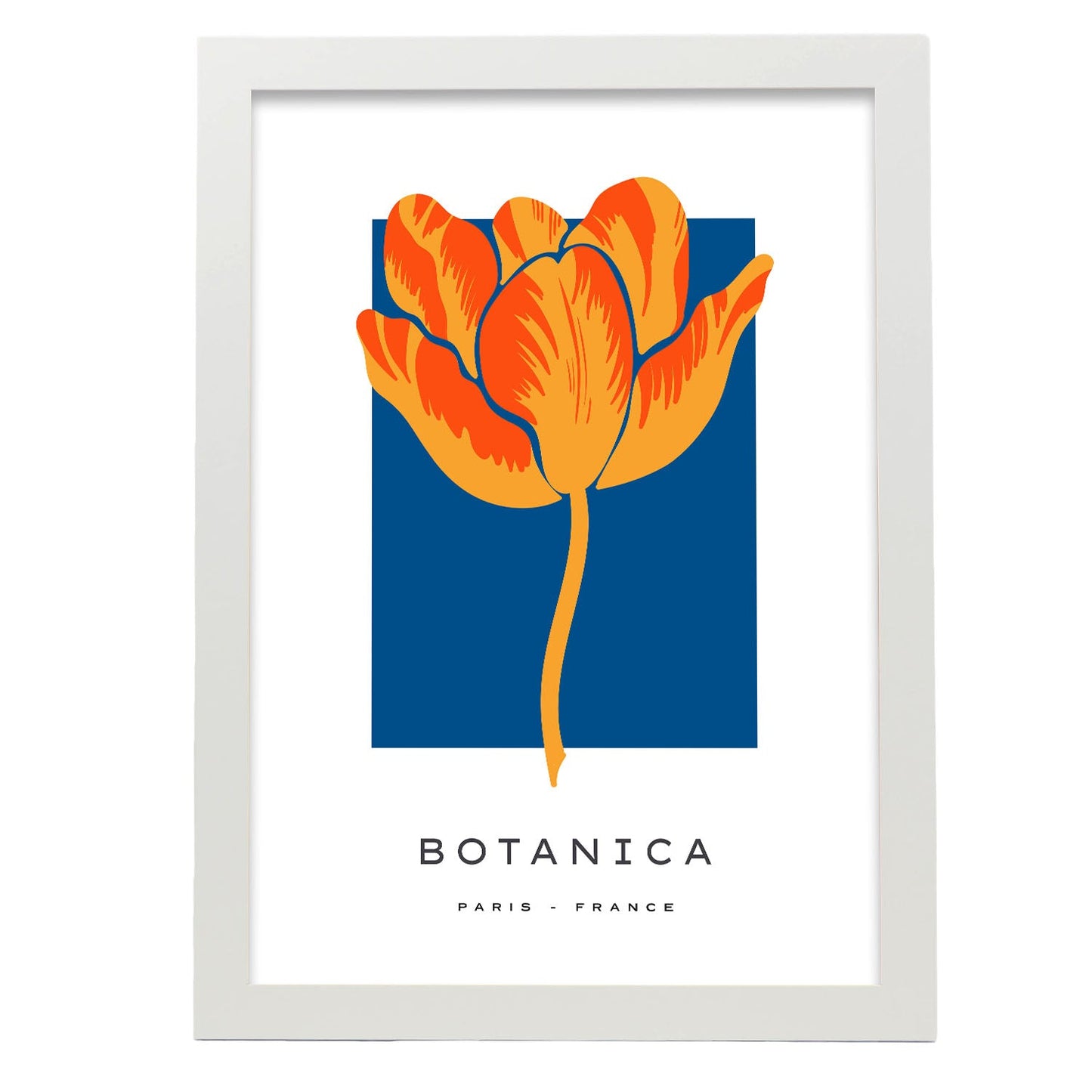Tulip-Artwork-Nacnic-A3-Marco Blanco-Nacnic Estudio SL
