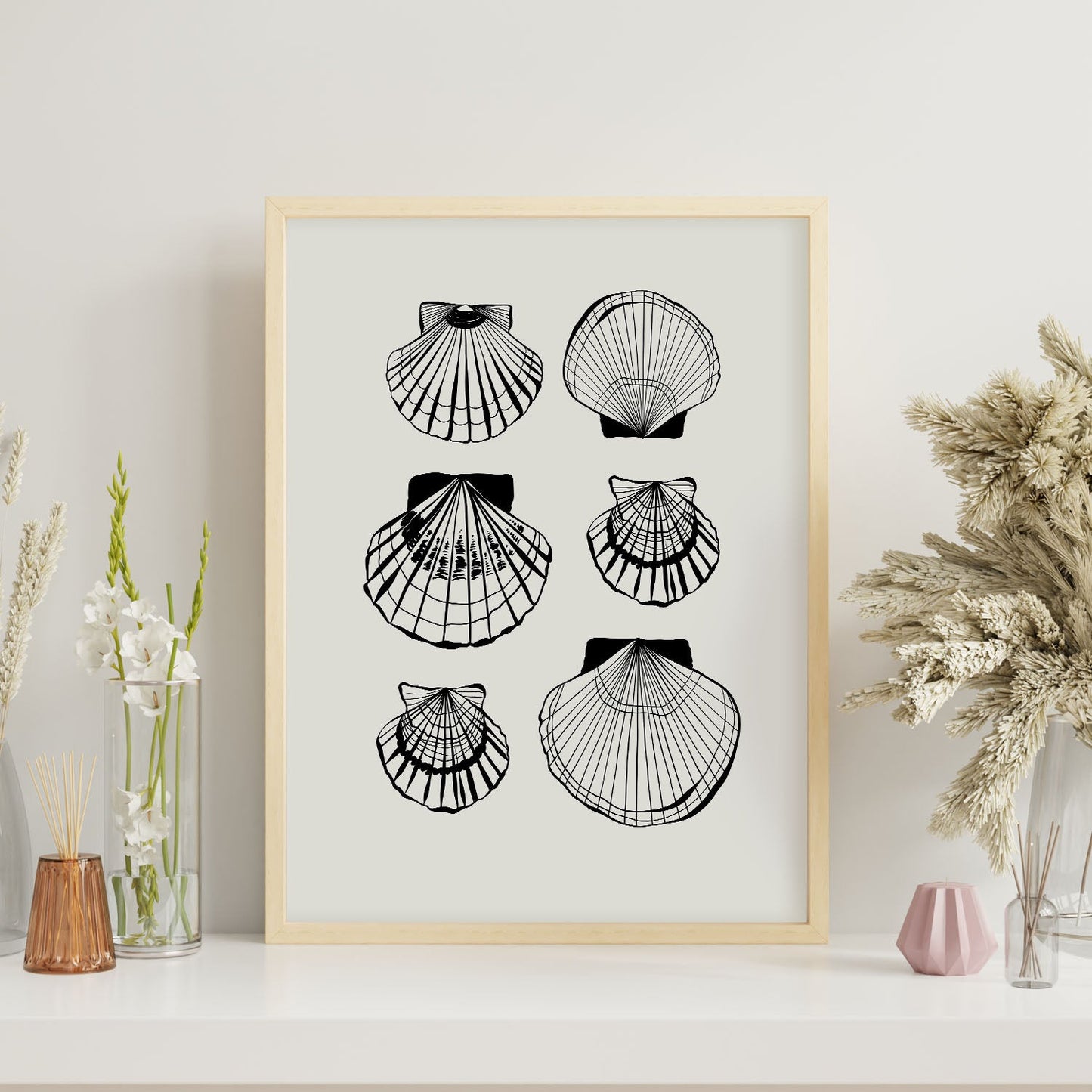 Types of scallops-Artwork-Nacnic-Nacnic Estudio SL