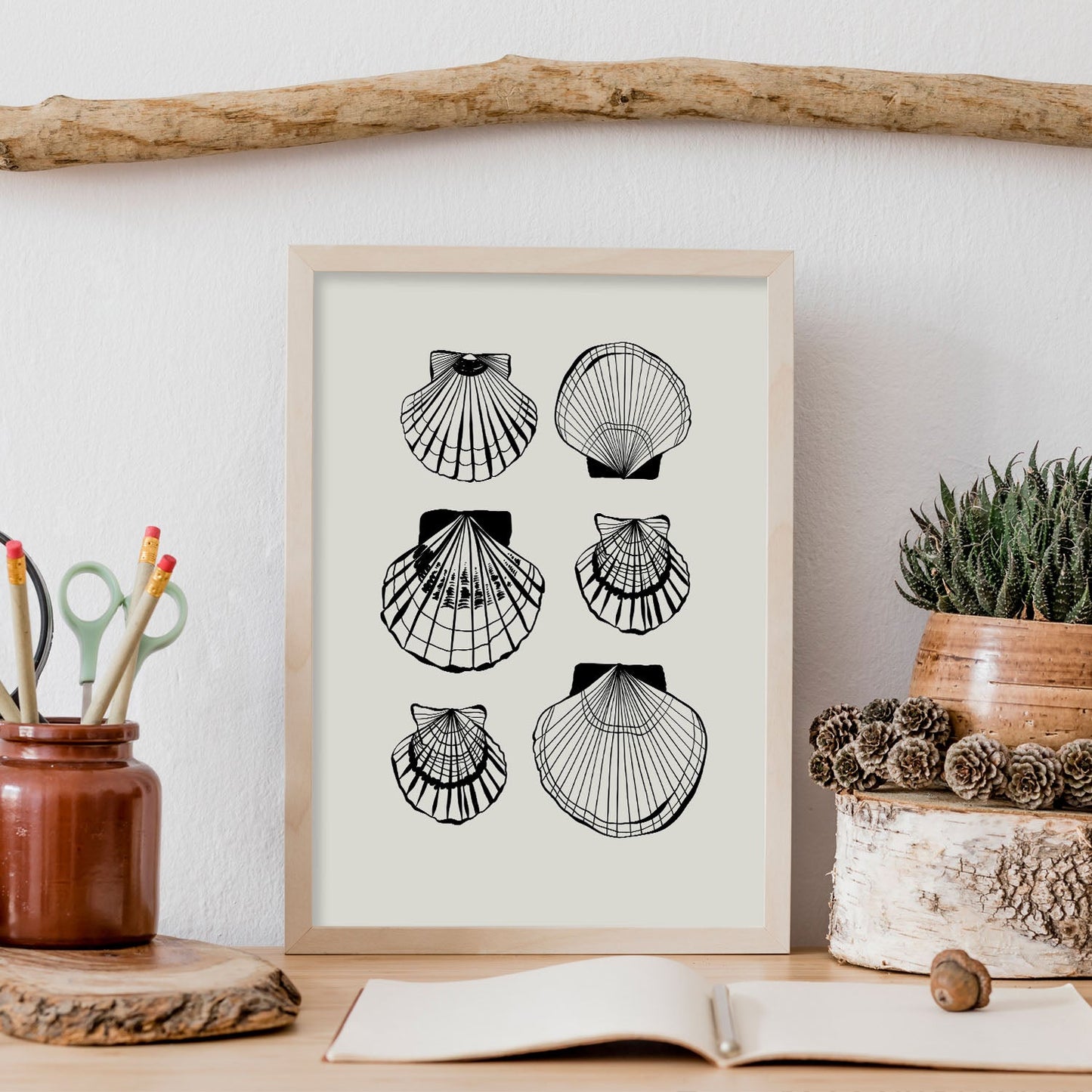 Types of scallops-Artwork-Nacnic-Nacnic Estudio SL